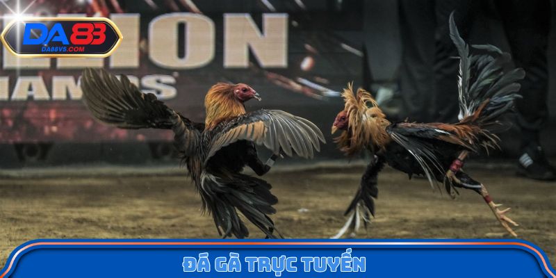 Đá Gà Trực Tuyến