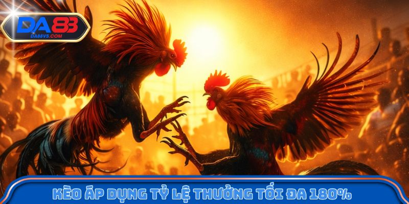 Chơi Đá Gà WS5 Trên Da88 - Tốc Độ Cao, Kết Quả Nhanh Gọn 4 Kèo áp dụng tỷ lệ thưởng tối đa 180%