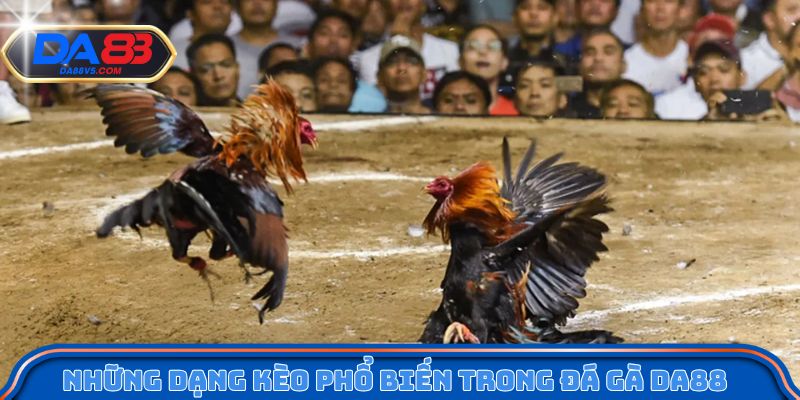 Những dạng kèo phổ biến trong đá gà Da88