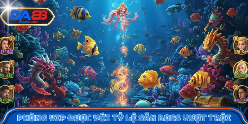 Phòng VIP được thiết kế với tỷ lệ săn cá khổng lồ vượt trội