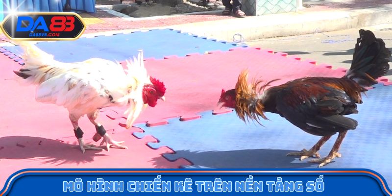 Đá Gà Trực Tuyến - Hình Thức Cá Cược Được Ưa Chuộng Nhất 2 Tổng quan mô hình chiến kê trên nền tảng số